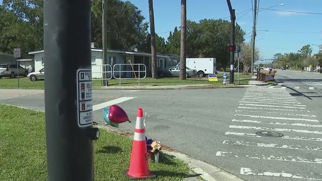 Woman known to feed neighborhood cats struck, killed in Orlando